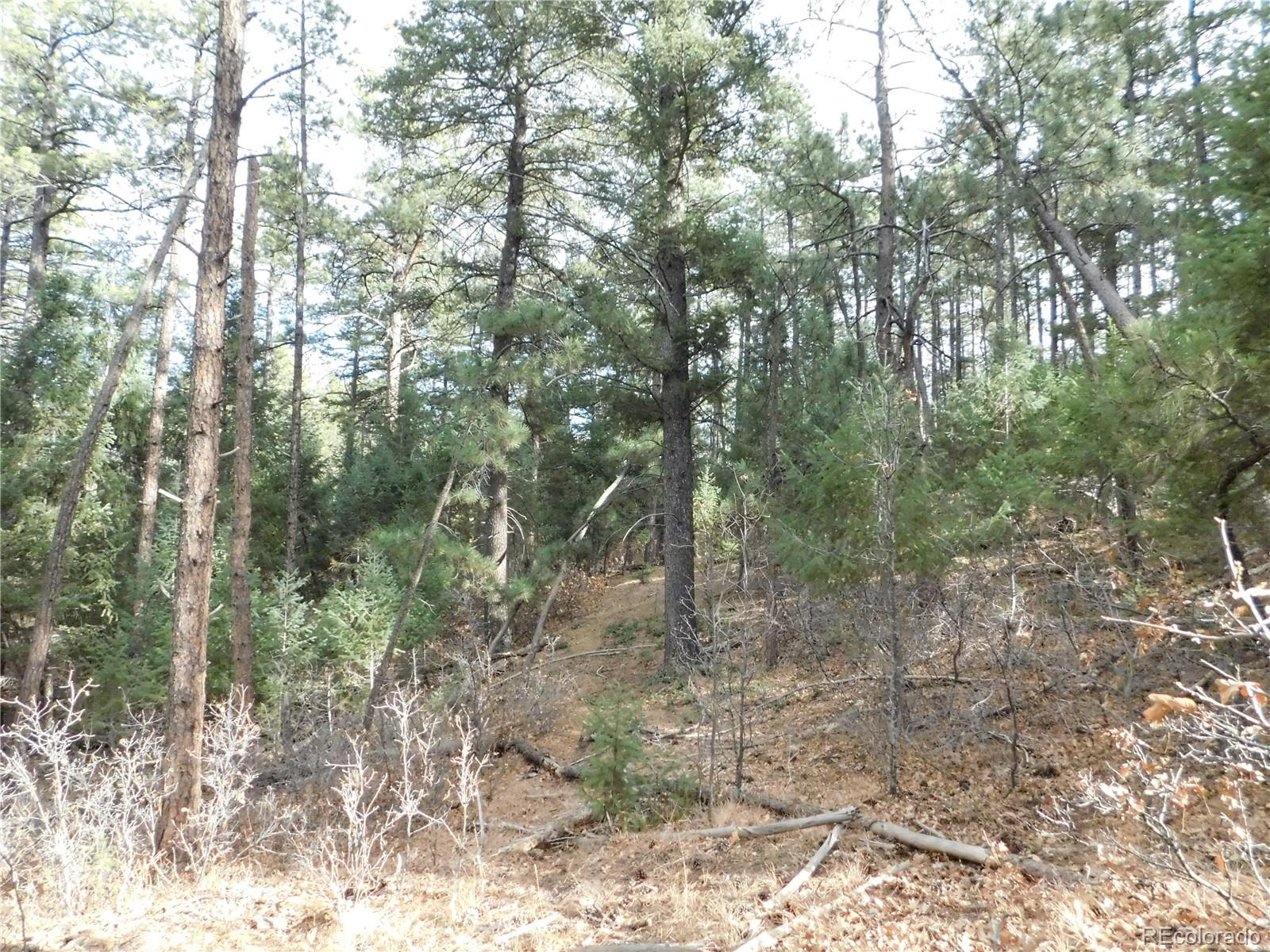 8139 Bannock Drive Larkspur CO 80118