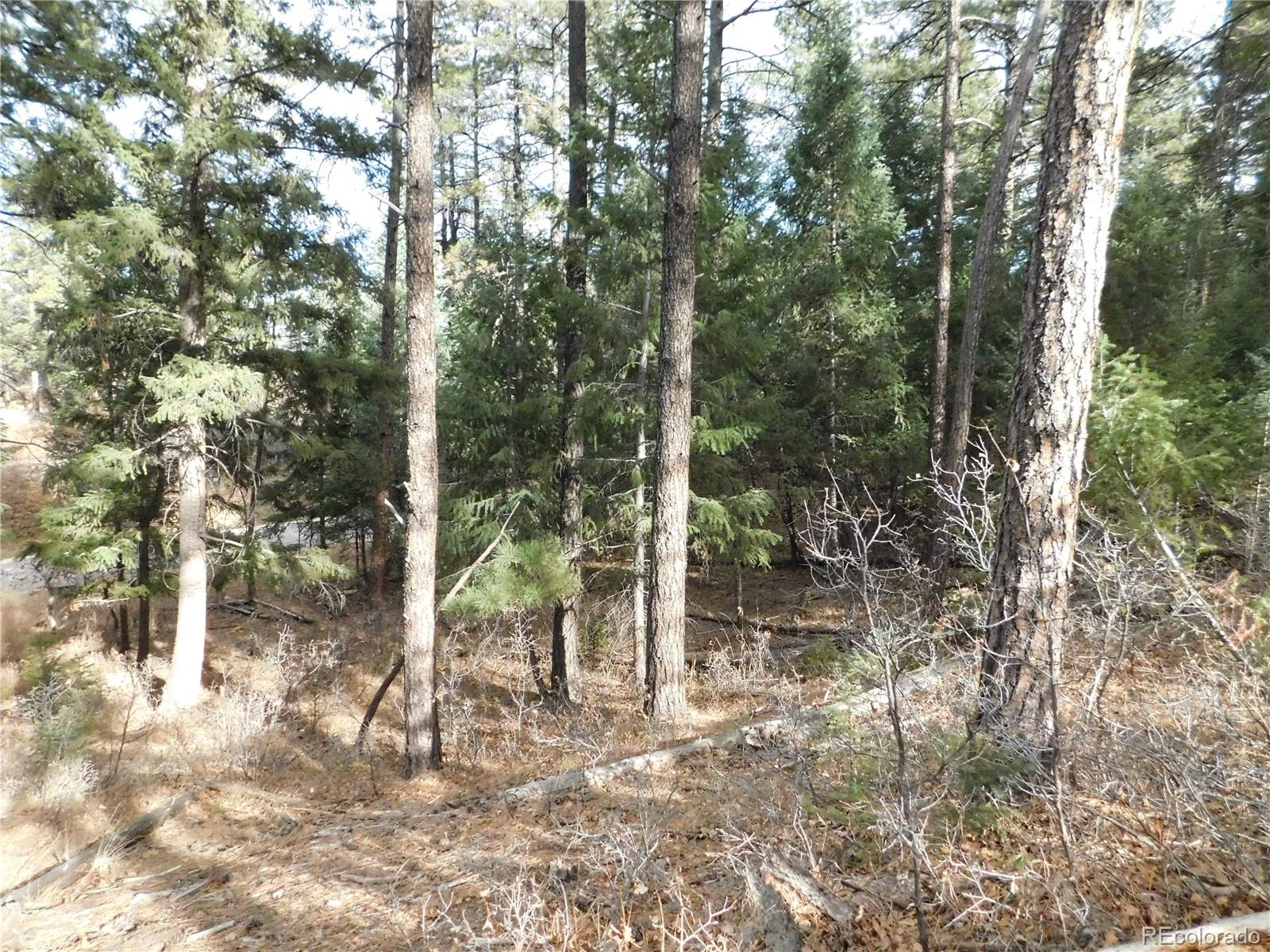 8139 Bannock Drive Larkspur CO 80118