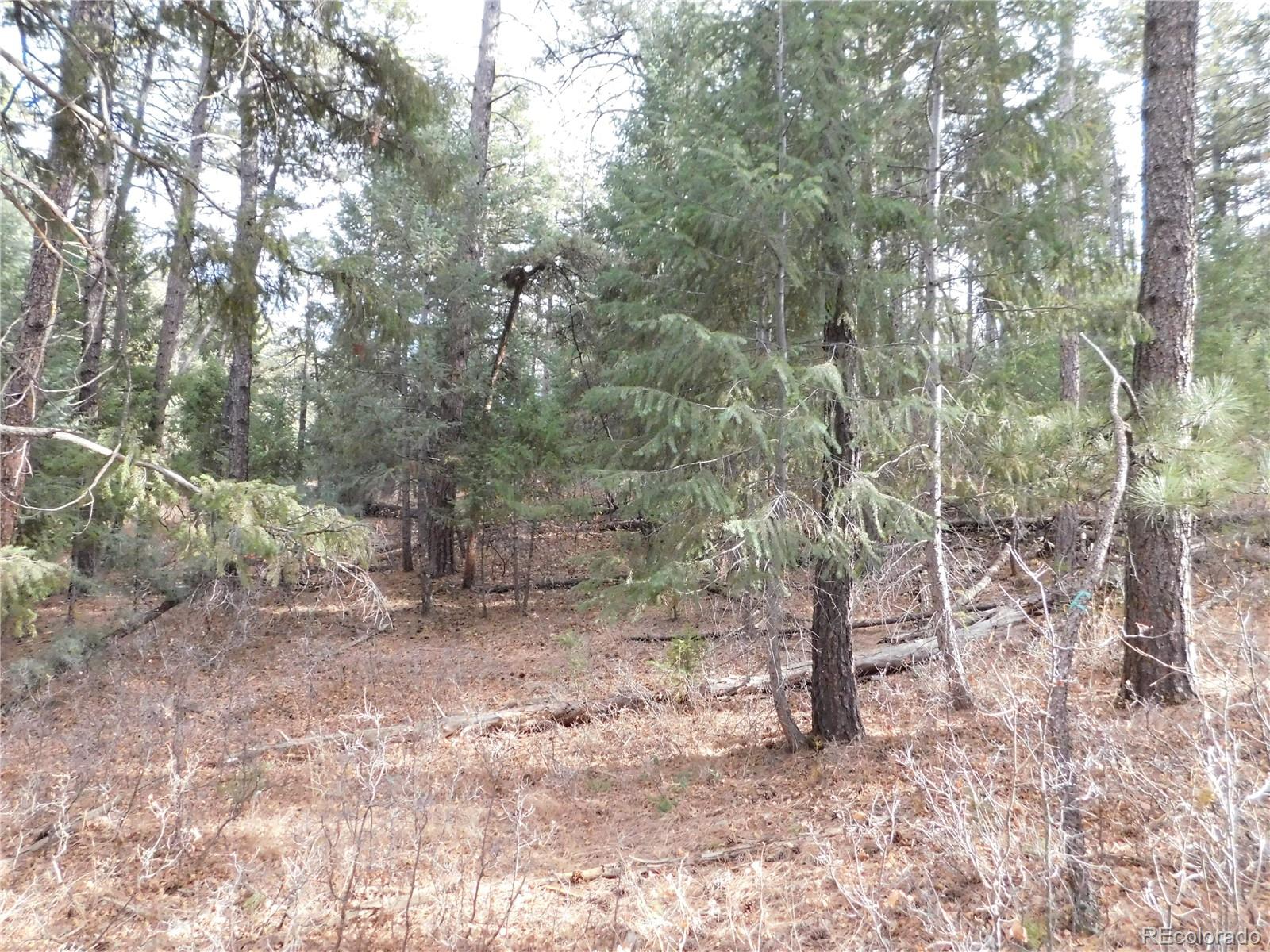 8139 Bannock Drive Larkspur CO 80118