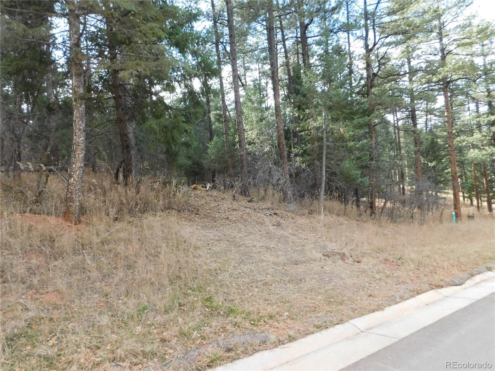 8139 Bannock Drive Larkspur CO 80118