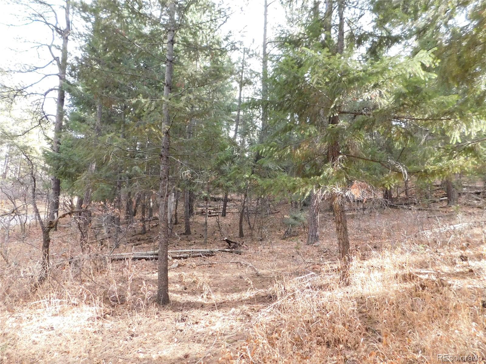8139 Bannock Drive Larkspur CO 80118