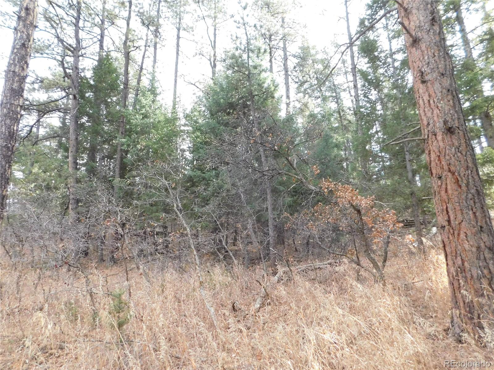 8139 Bannock Drive Larkspur CO 80118