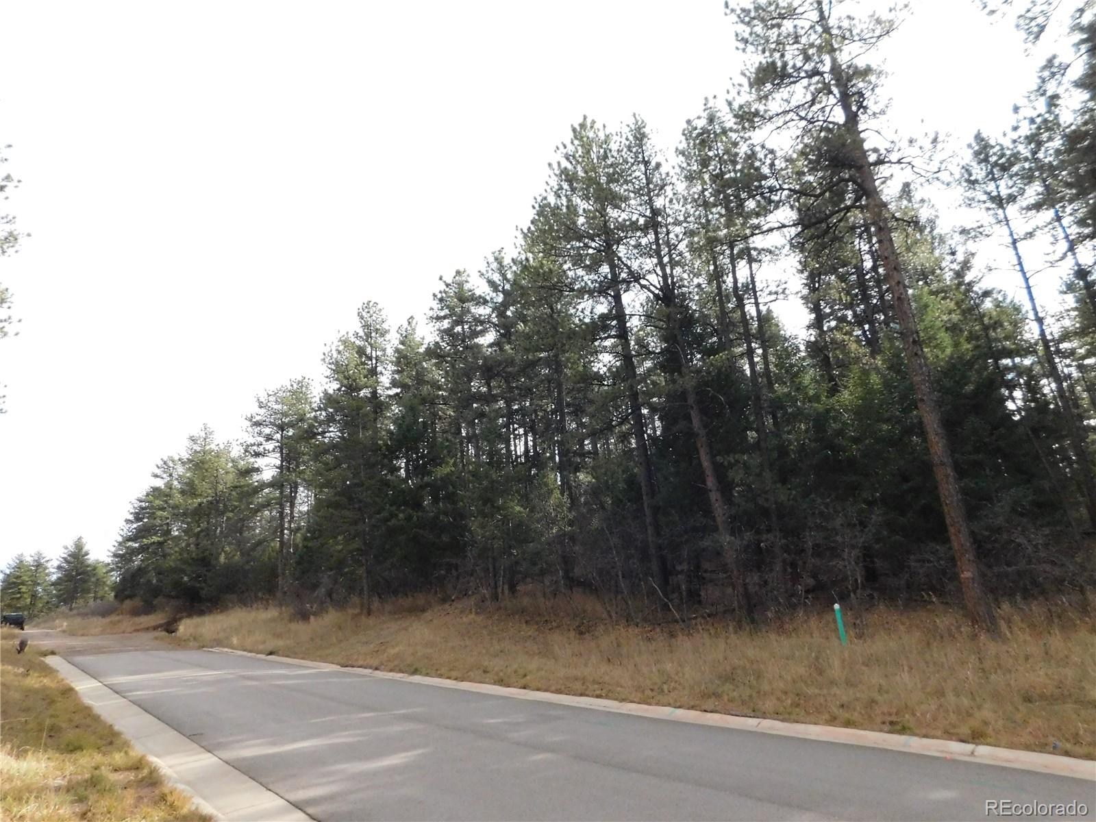 8139 Bannock Drive Larkspur CO 80118