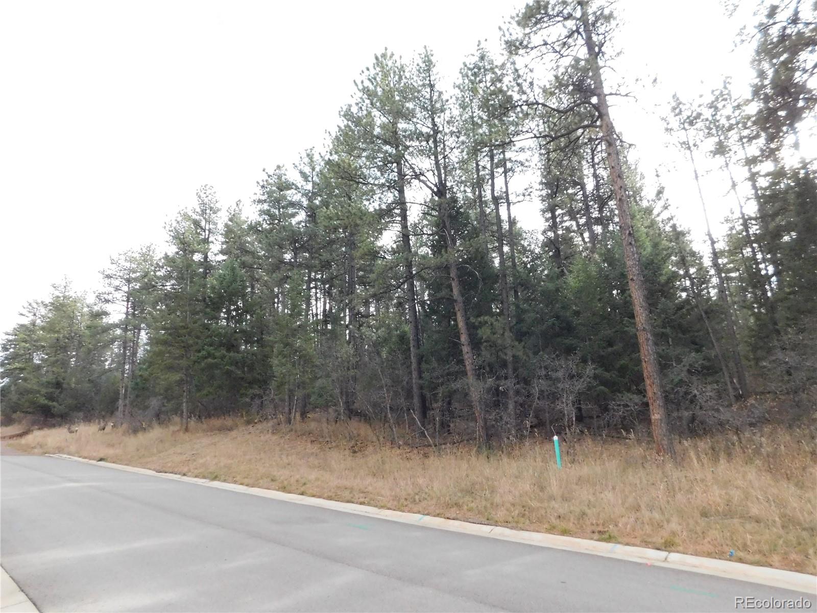 8139 Bannock Drive Larkspur CO 80118