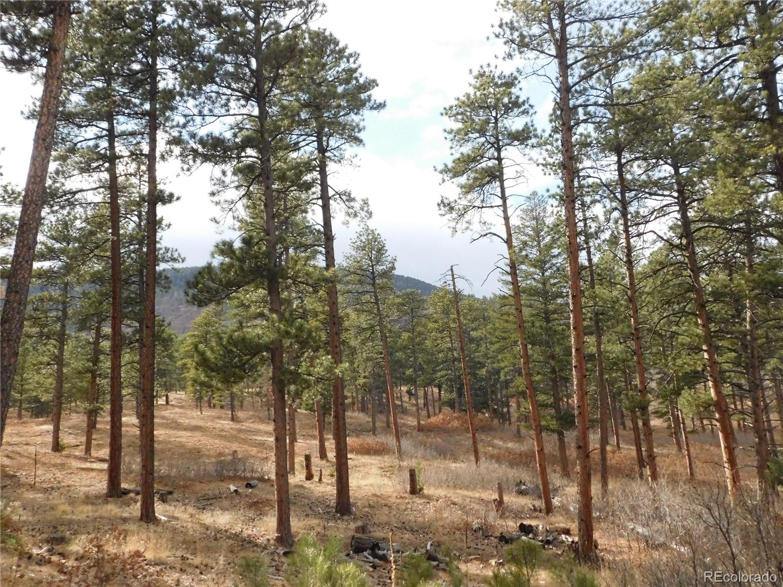8139 Bannock Drive Larkspur CO 80118