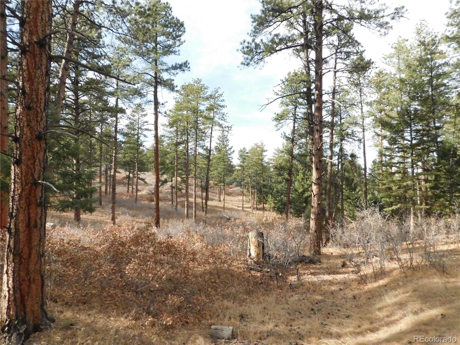 8139 Bannock Drive Larkspur CO 80118