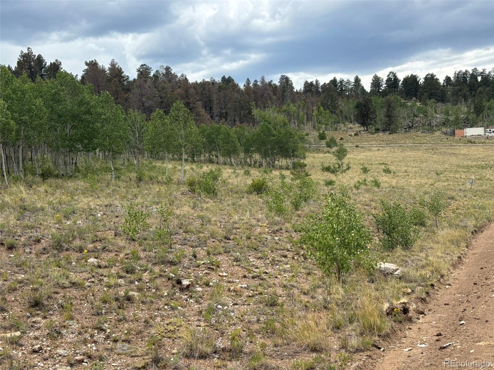 1625 Athapascan Road Hartsel CO 80449