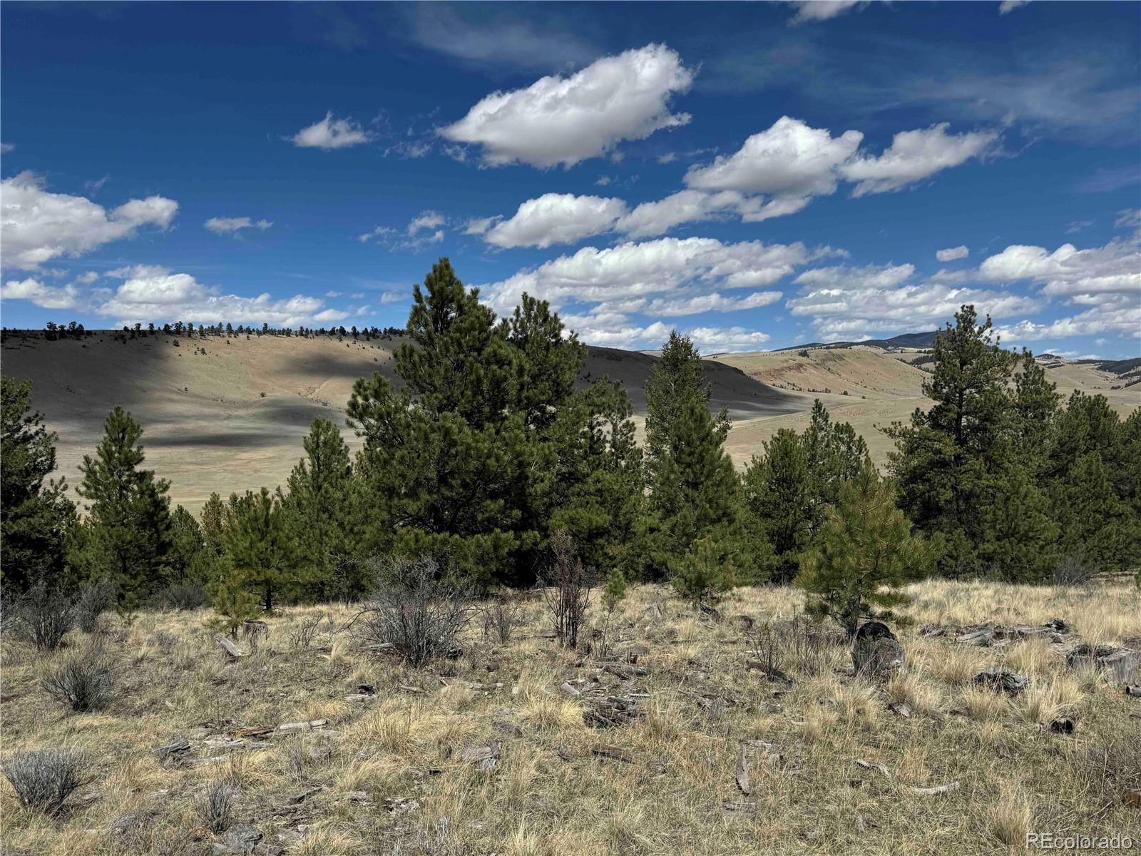8014 County Road 2 Canon City CO 81212