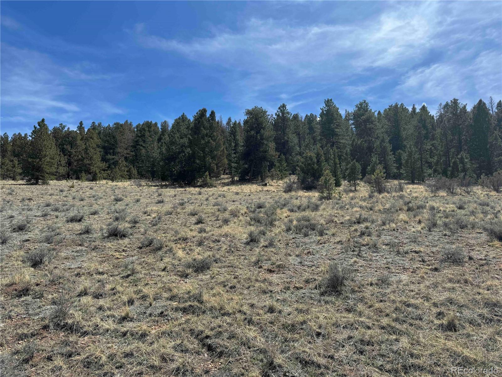 8014 County Road 2 Canon City CO 81212