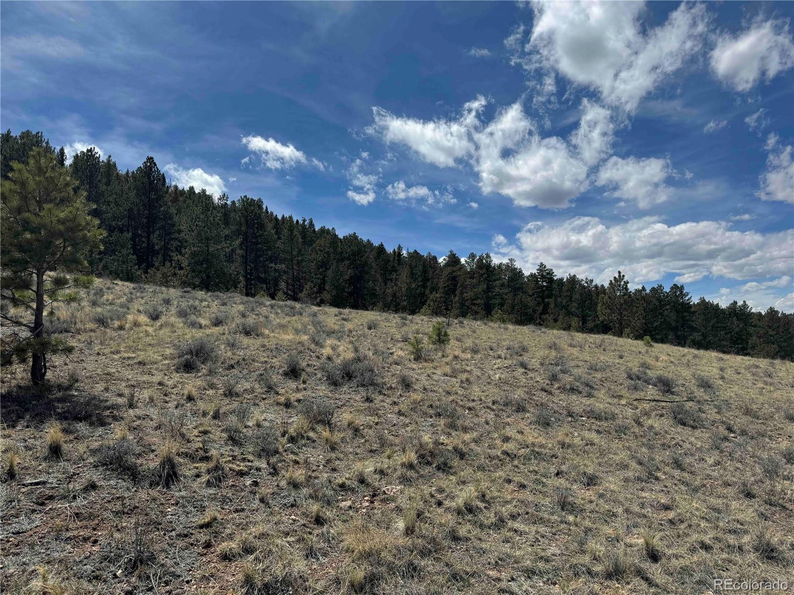 8014 County Road 2 Canon City CO 81212