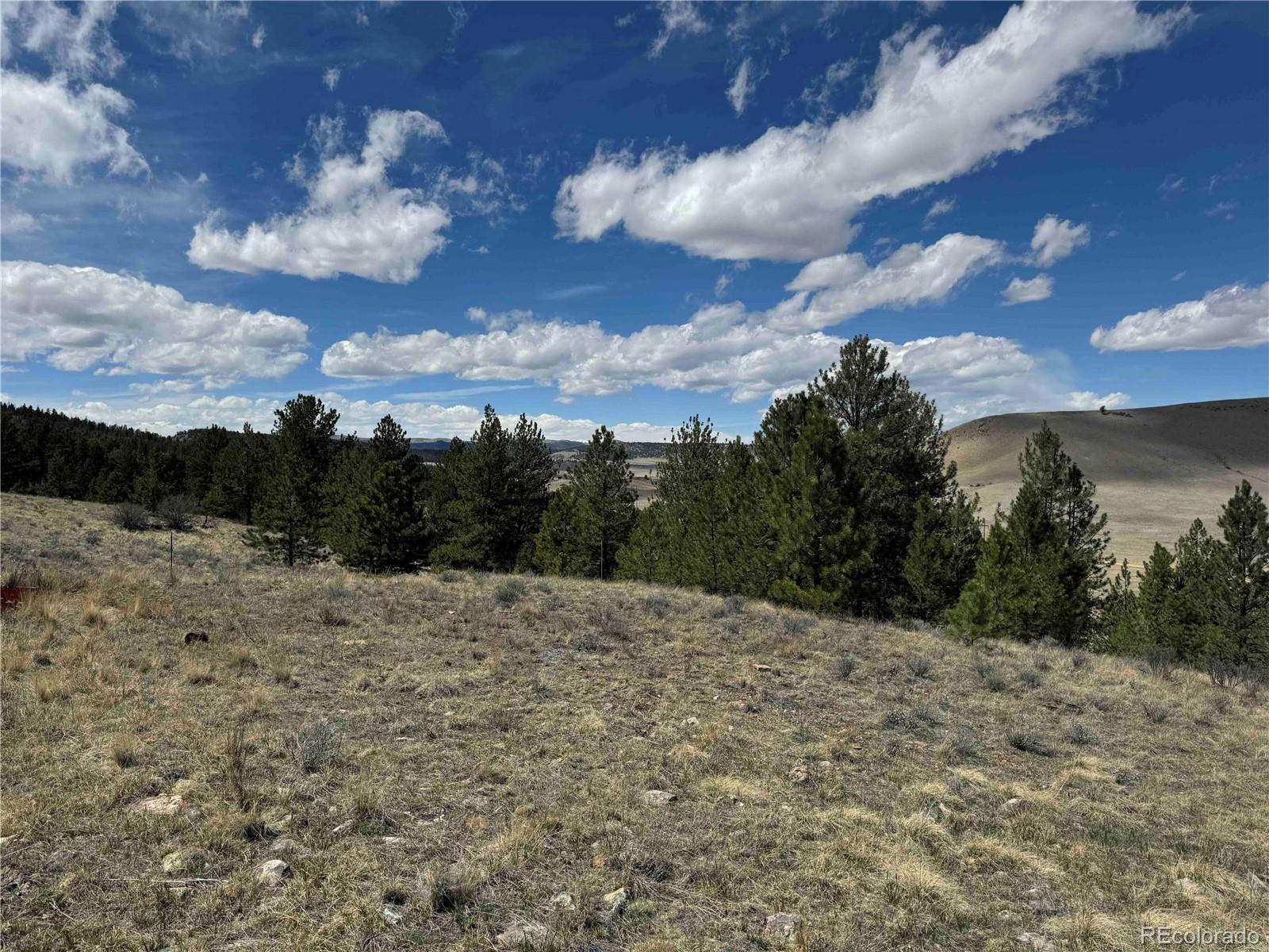 8014 County Road 2 Canon City CO 81212