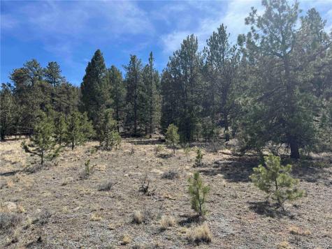 8014 County Road 2 Canon City CO 81212