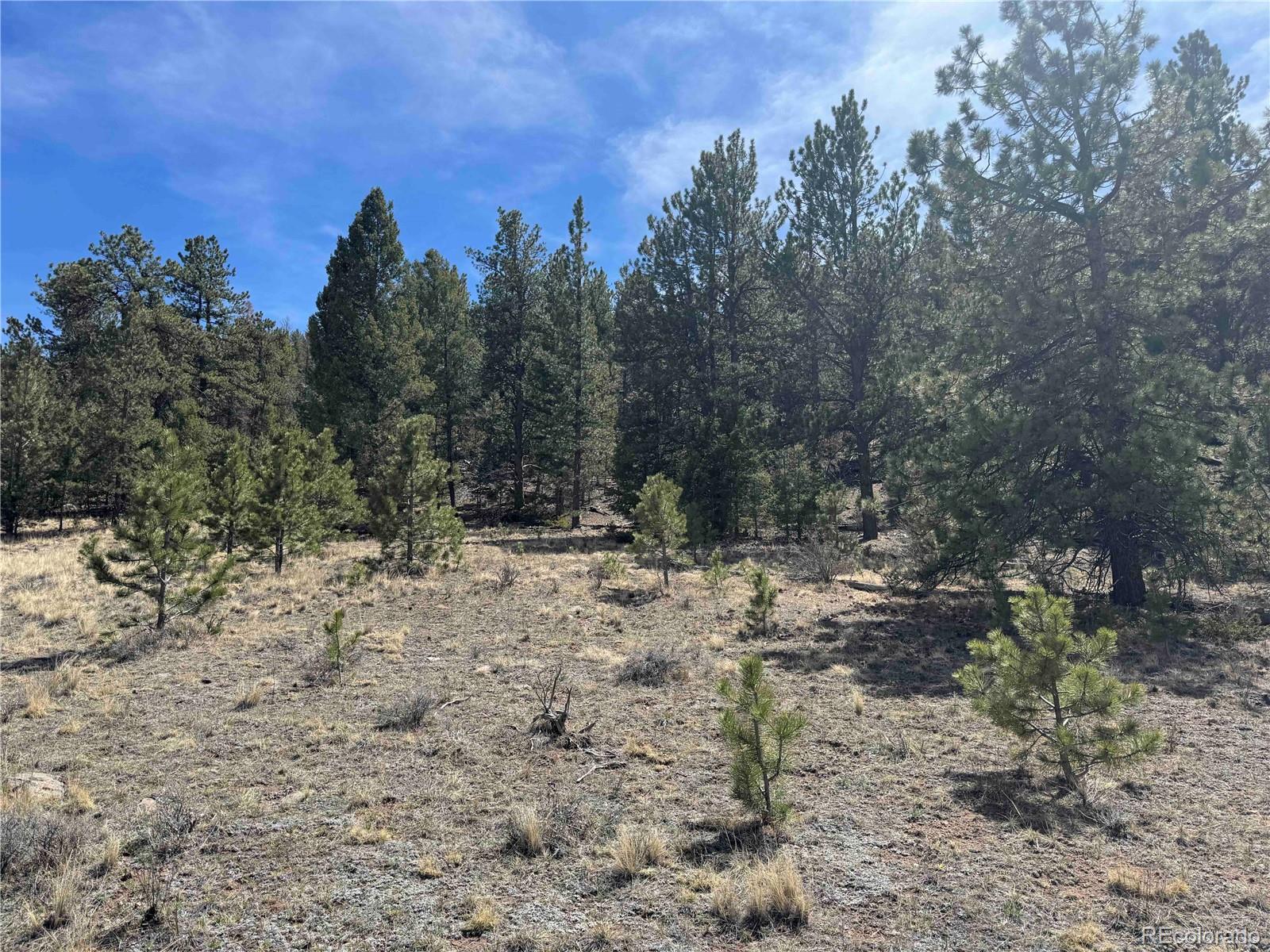 8014 County Road 2 Canon City CO 81212