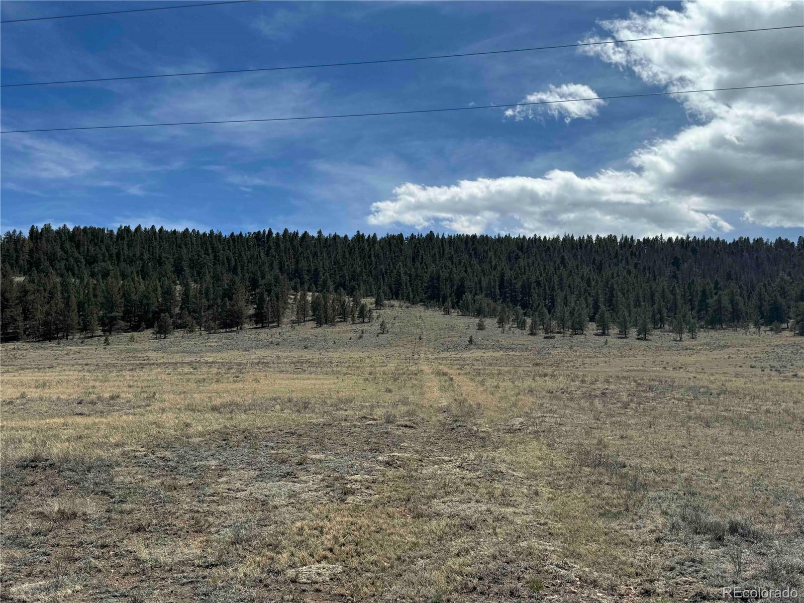 8014 County Road 2 Canon City CO 81212