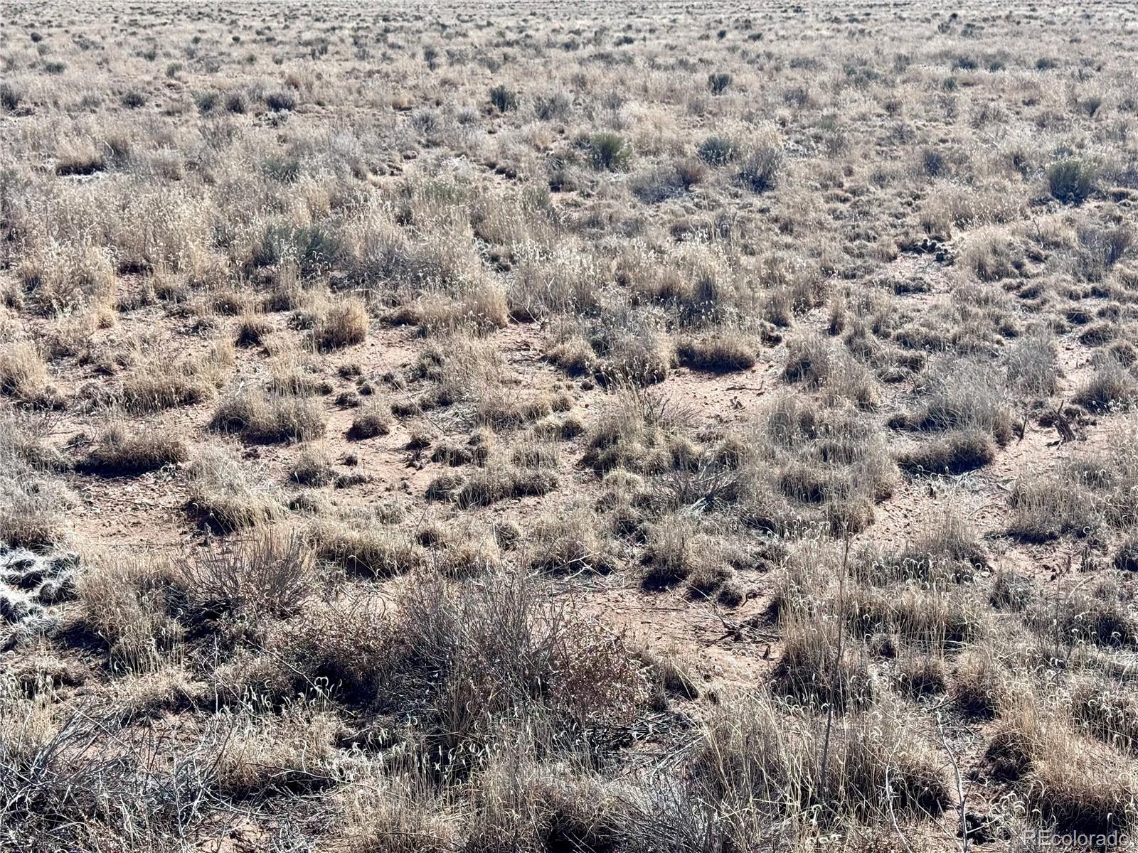 Lot 13 Loveland Road Blanca CO 81123