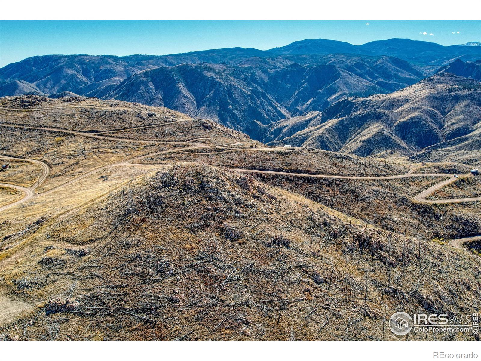 112 Rabbit Ears Court Livermore CO 80536