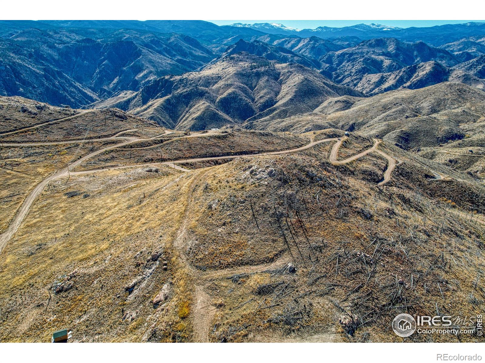 112 Rabbit Ears Court Livermore CO 80536