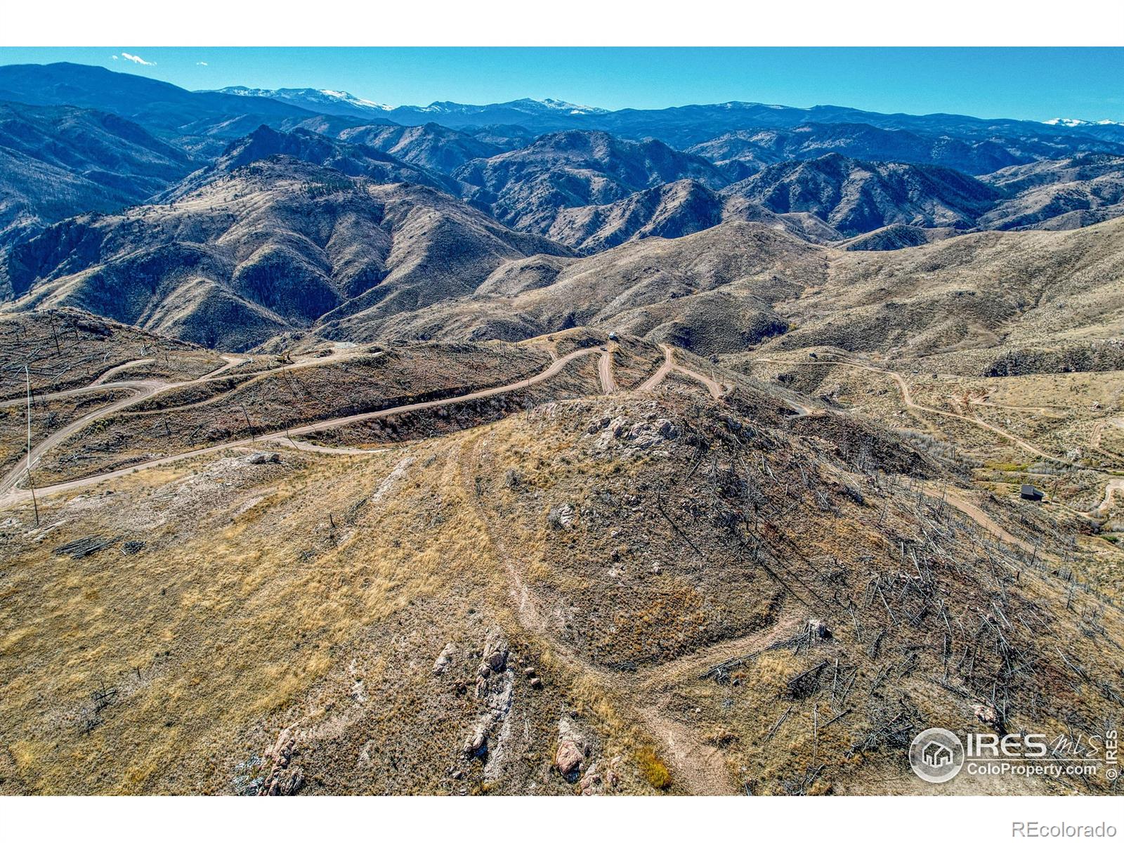 112 Rabbit Ears Court Livermore CO 80536