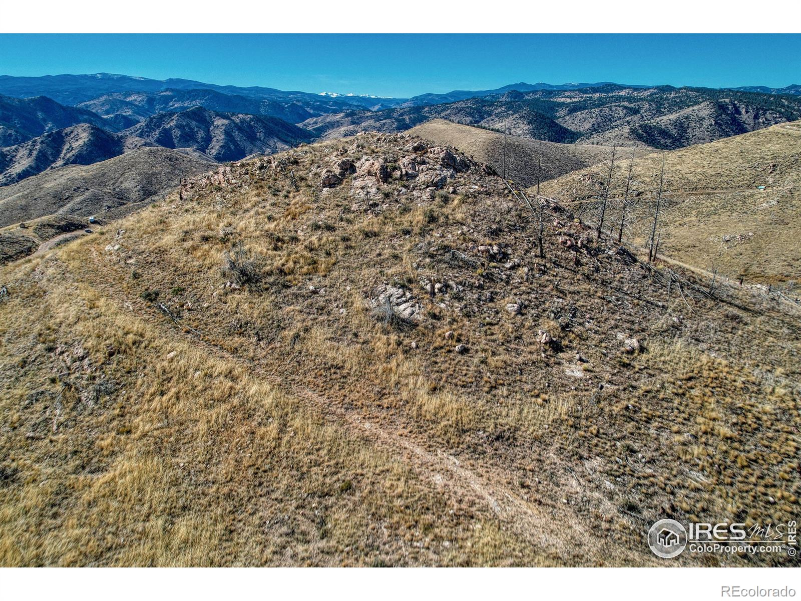 112 Rabbit Ears Court Livermore CO 80536