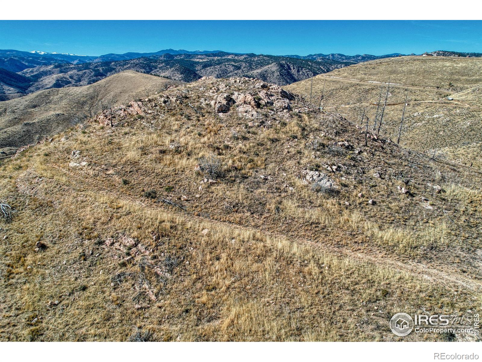 112 Rabbit Ears Court Livermore CO 80536