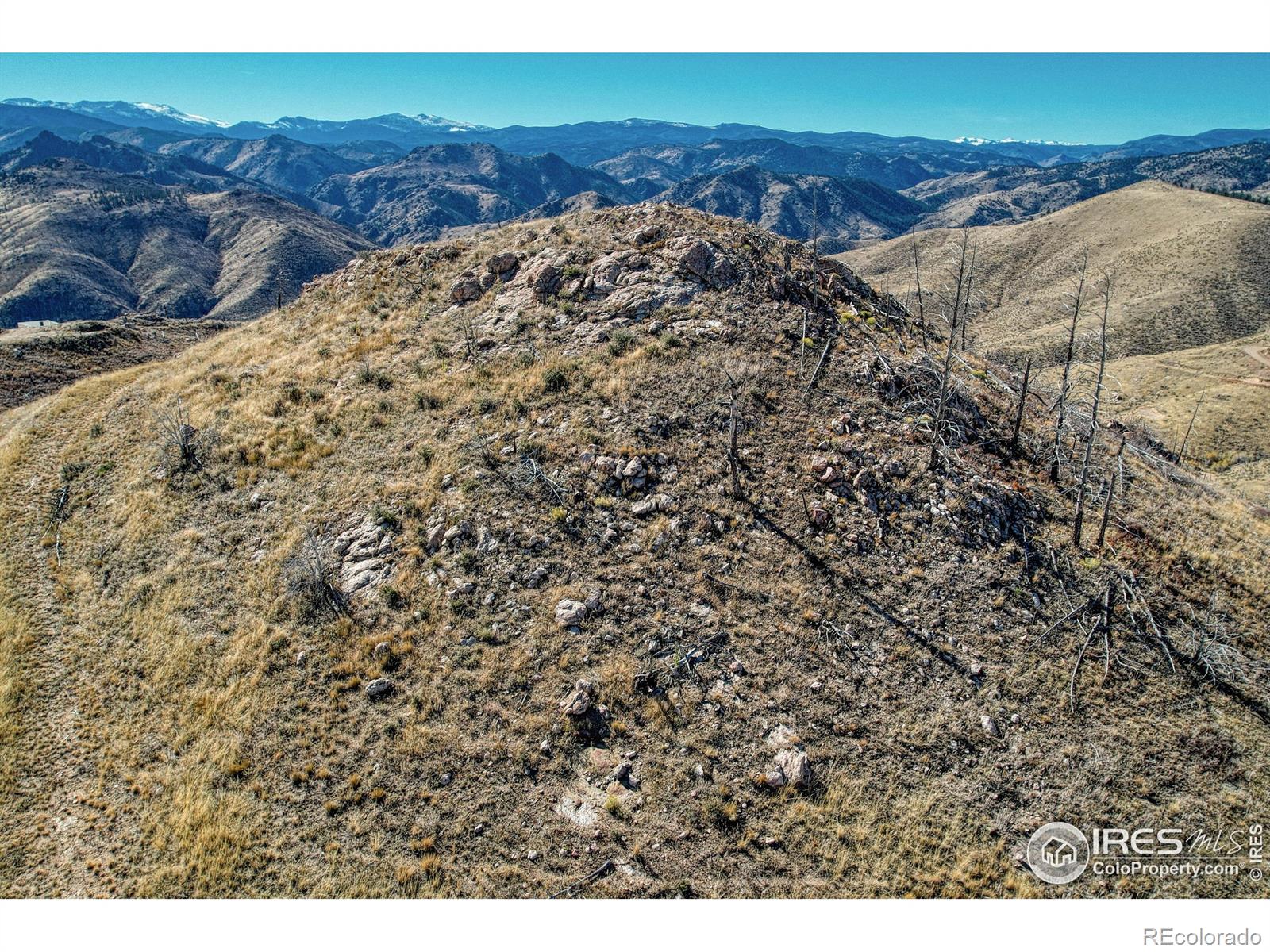 112 Rabbit Ears Court Livermore CO 80536