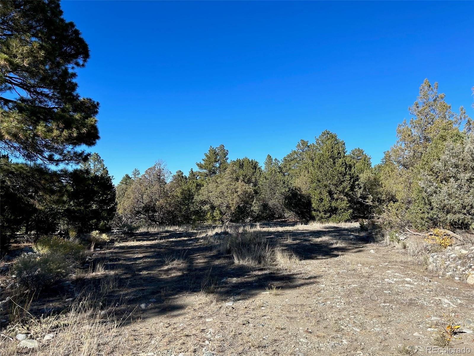 25 Pioneer Road Mosca CO 81144
