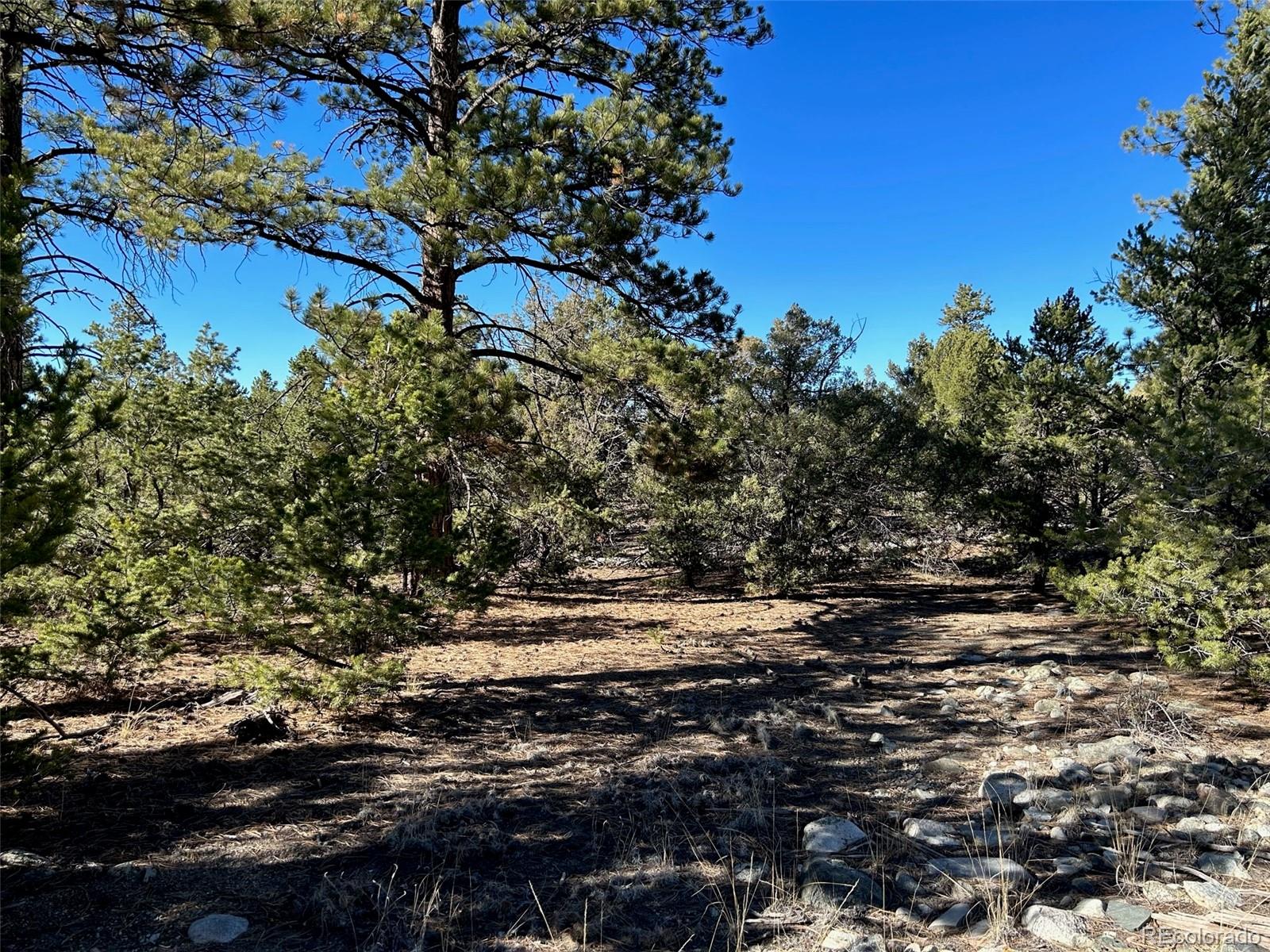 25 Pioneer Road Mosca CO 81144