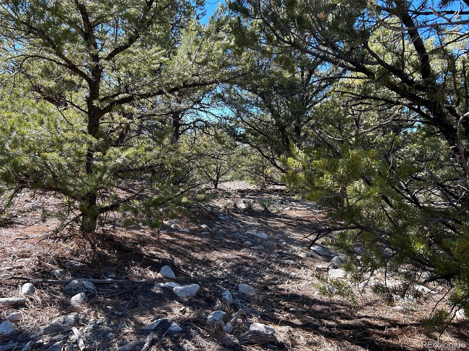 25 Pioneer Road Mosca CO 81144