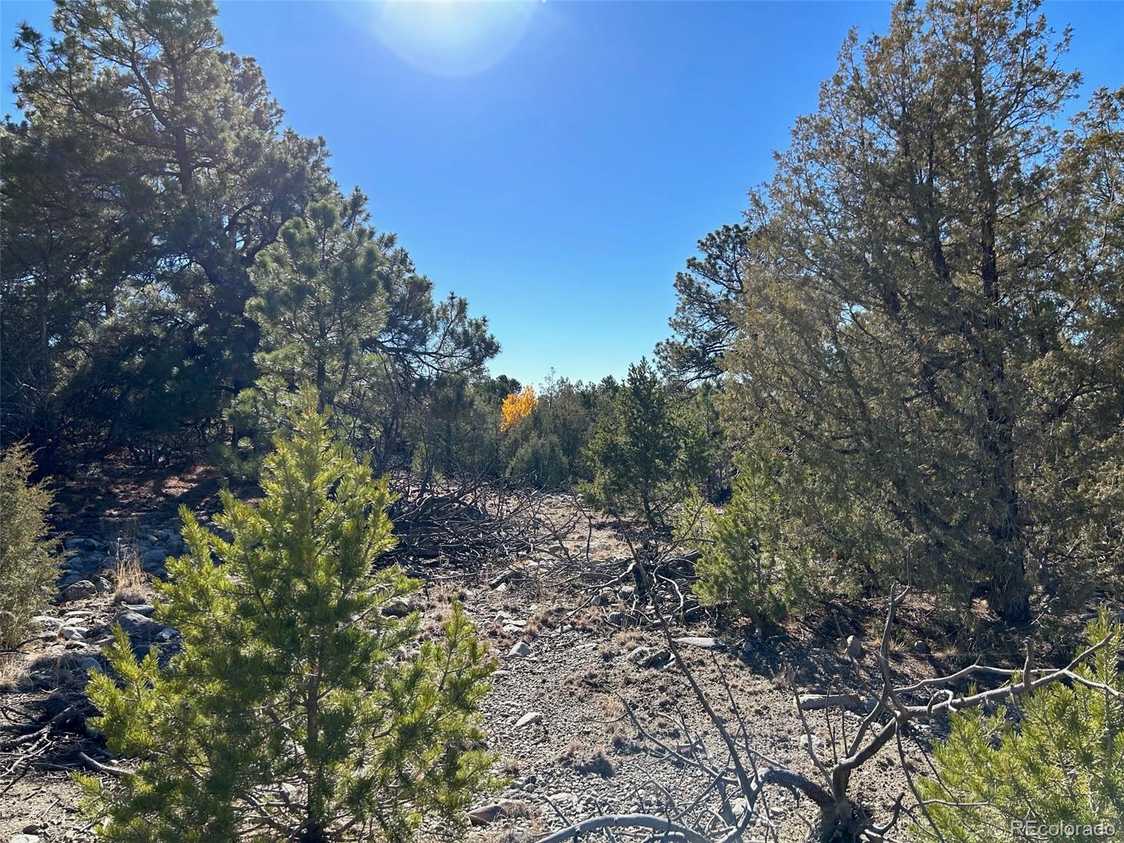 25 Pioneer Road Mosca CO 81144