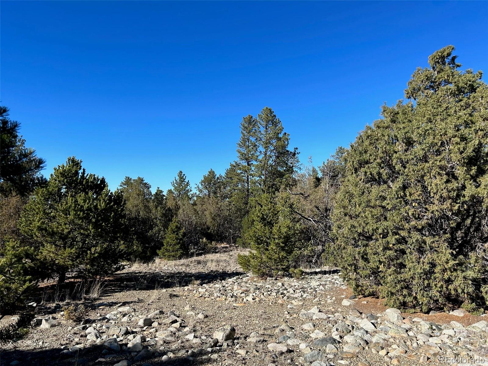 25 Pioneer Road Mosca CO 81144