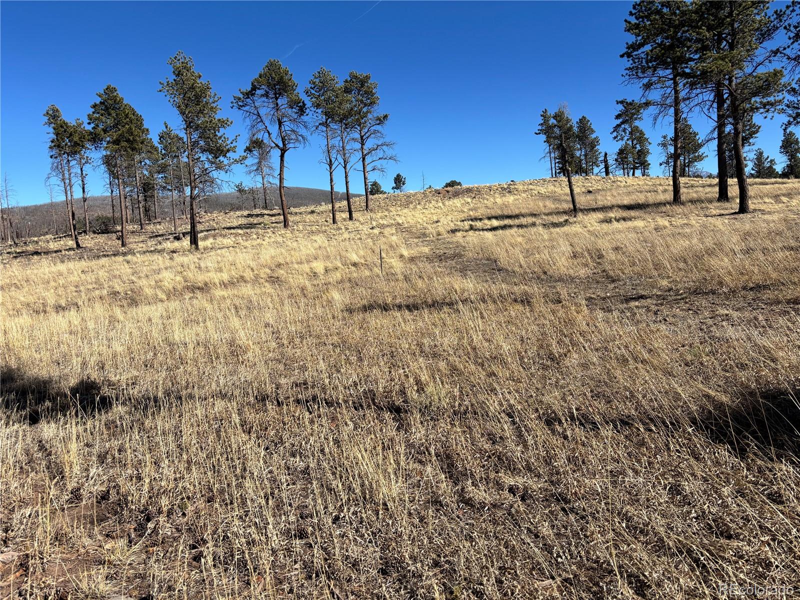 00 Hart Lane Fort Garland CO 81133