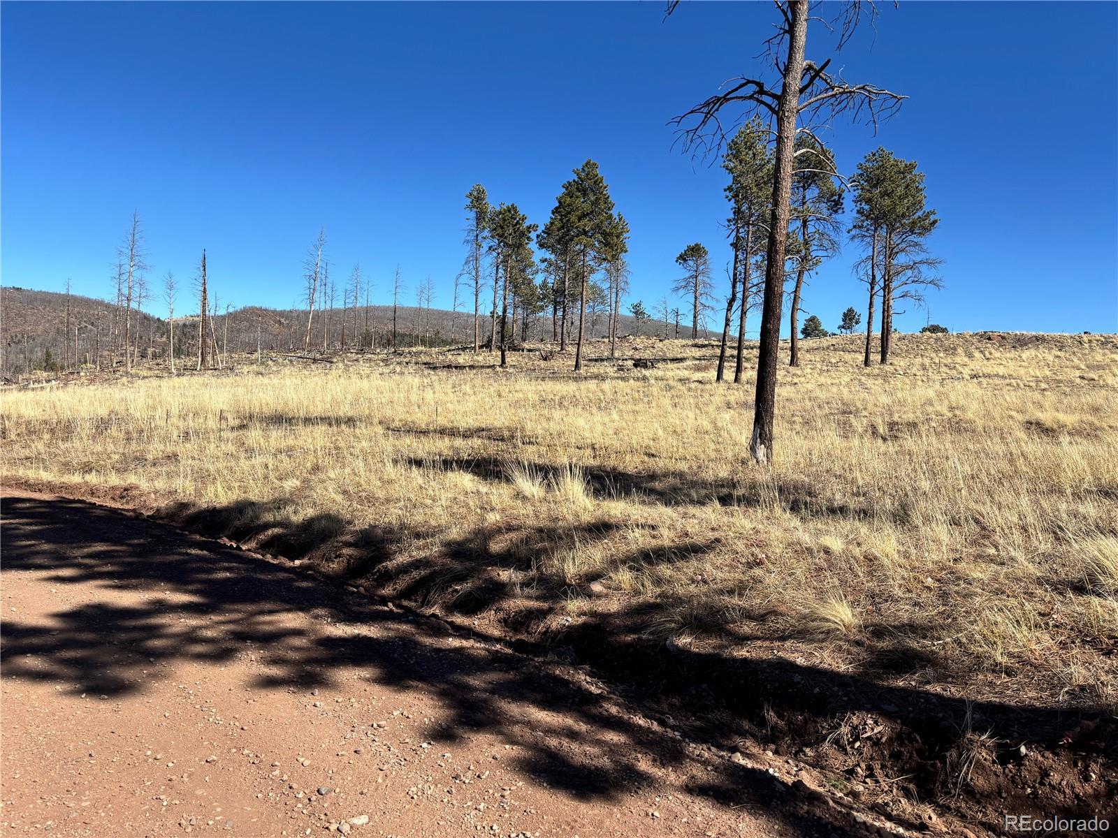 00 Hart Lane Fort Garland CO 81133