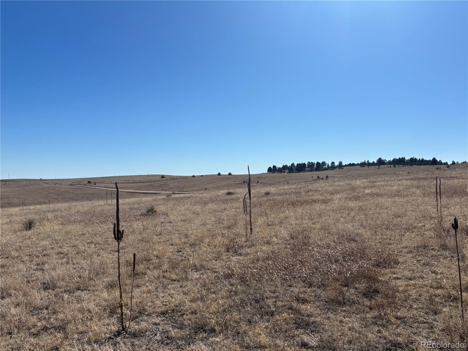 Lot 4 County Road 27 Elizabeth CO 80107