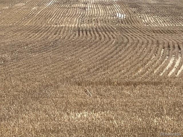 Tbd County Road 2 Atwood CO 80722