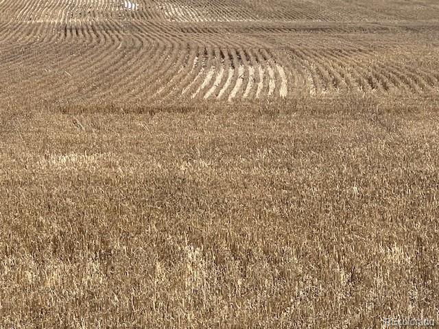 Tbd County Road 2 Atwood CO 80722