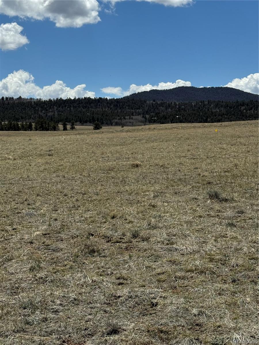 3 Ranch Hartsel CO 80449