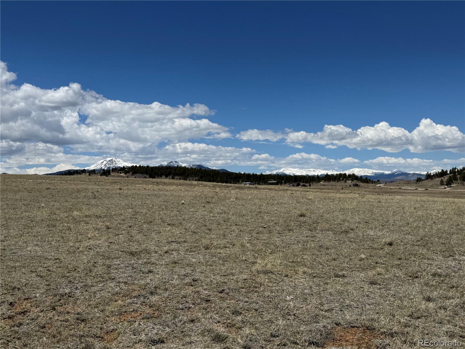 3 Ranch Hartsel CO 80449
