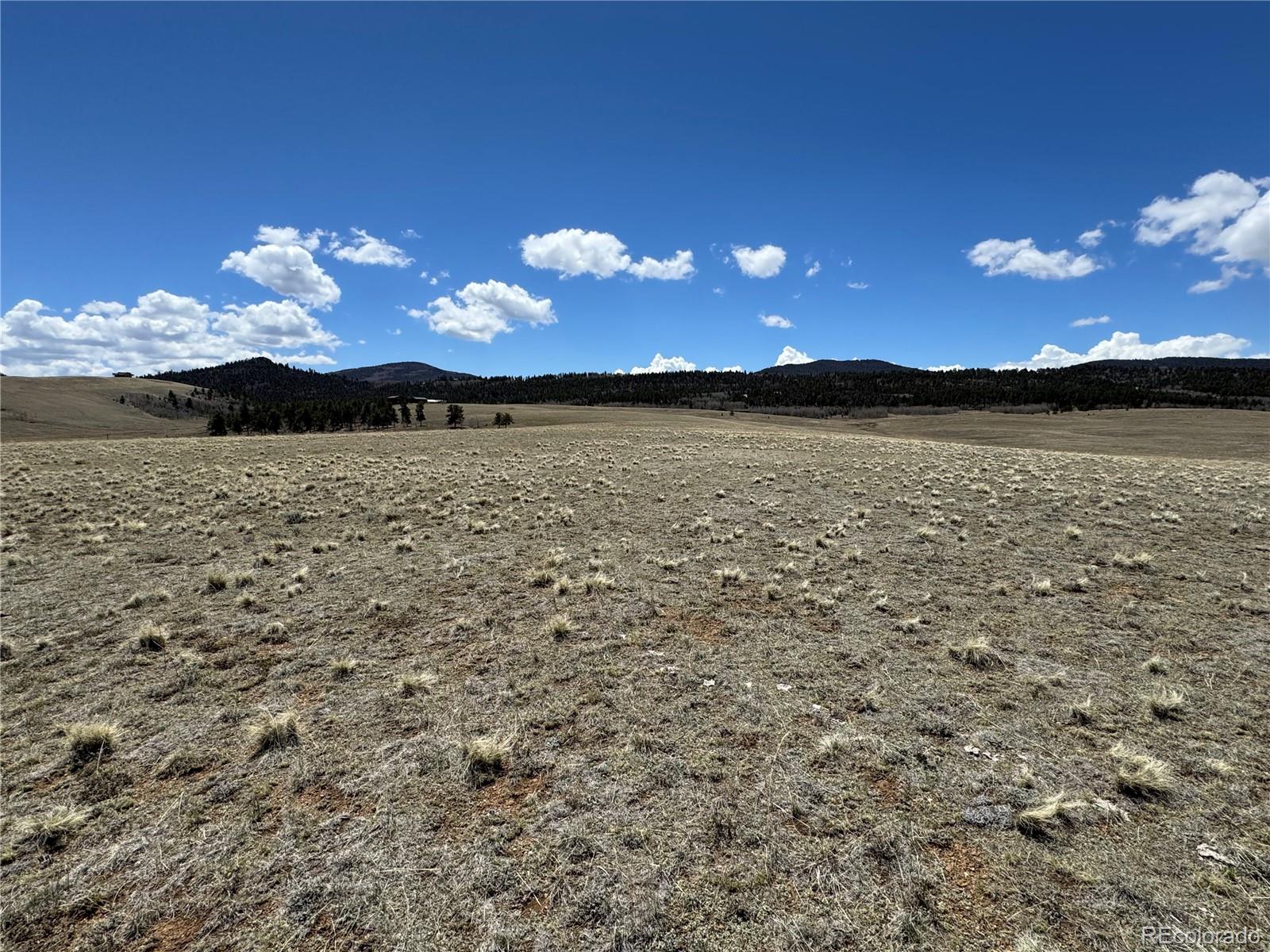 3 Ranch Hartsel CO 80449