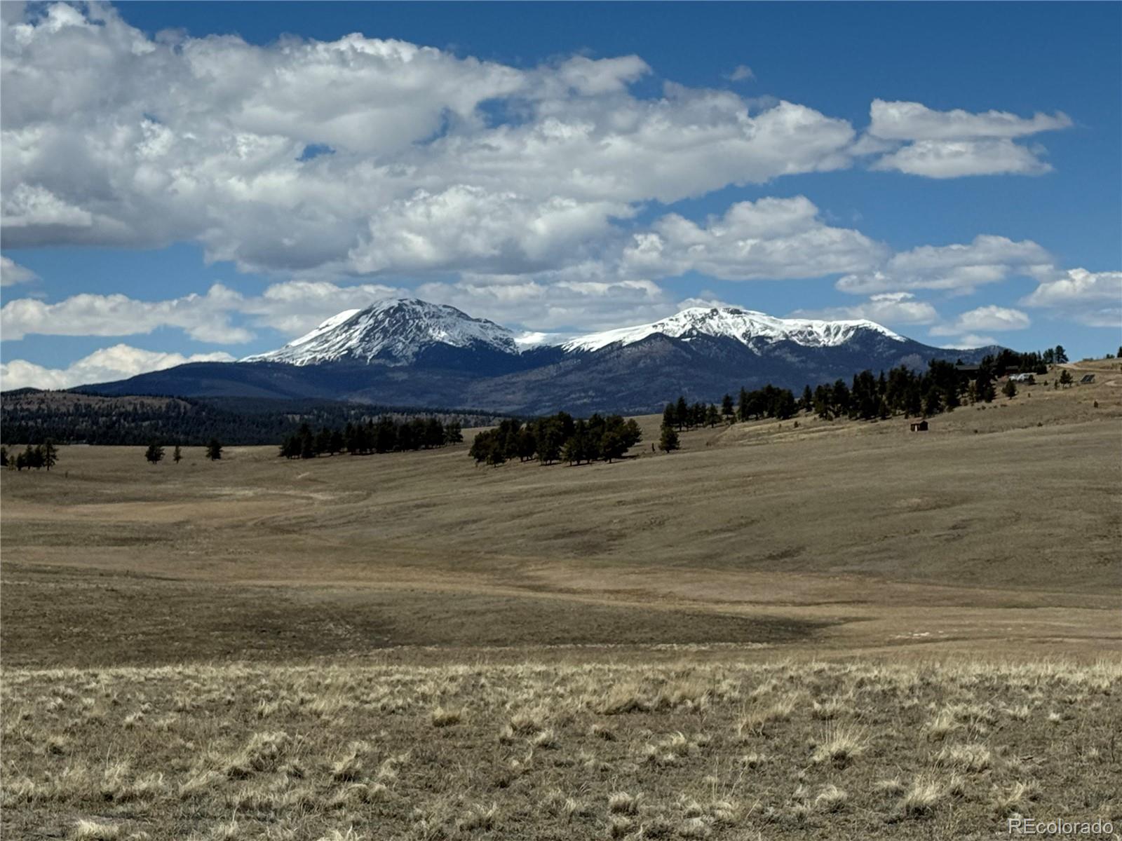 3 Ranch Hartsel CO 80449