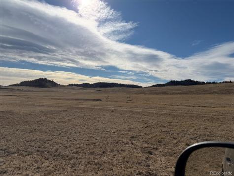 3 Ranch Hartsel CO 80449