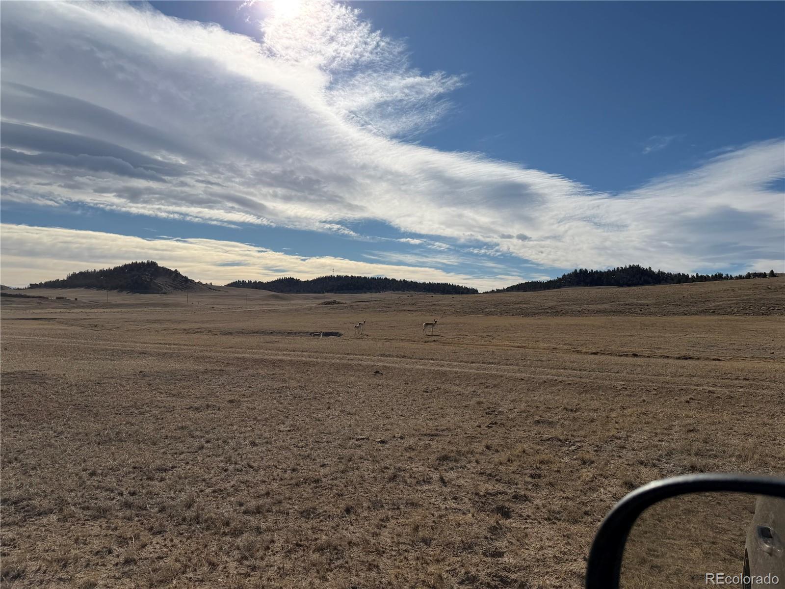 3 Ranch Hartsel CO 80449