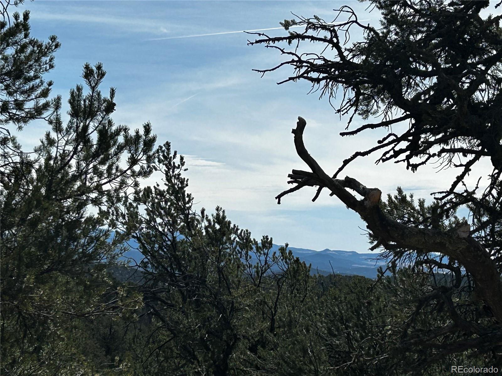 2065 Indian Wells Road Cotopaxi CO 81223