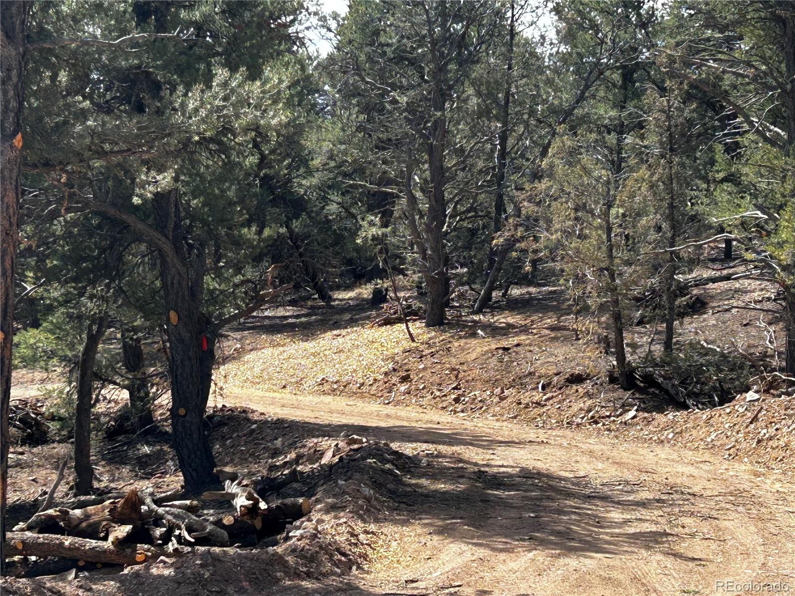 2065 Indian Wells Road Cotopaxi CO 81223