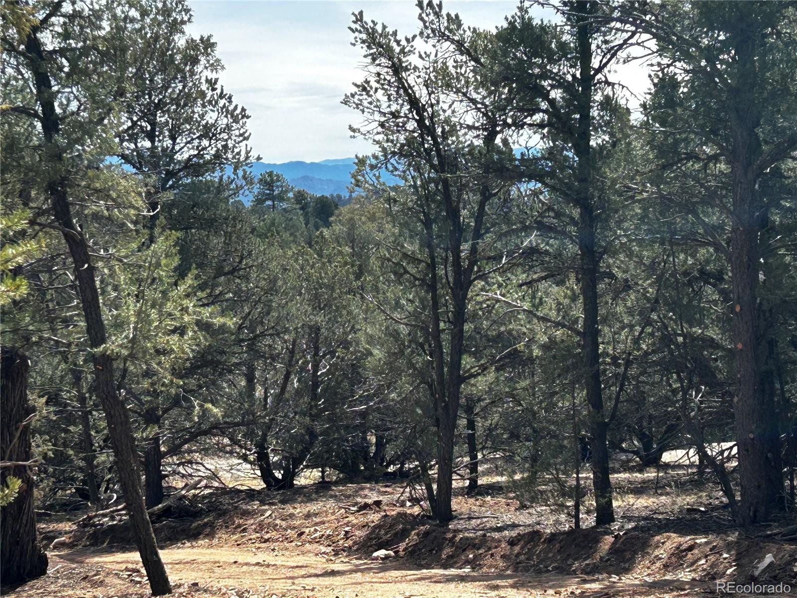 2065 Indian Wells Road Cotopaxi CO 81223