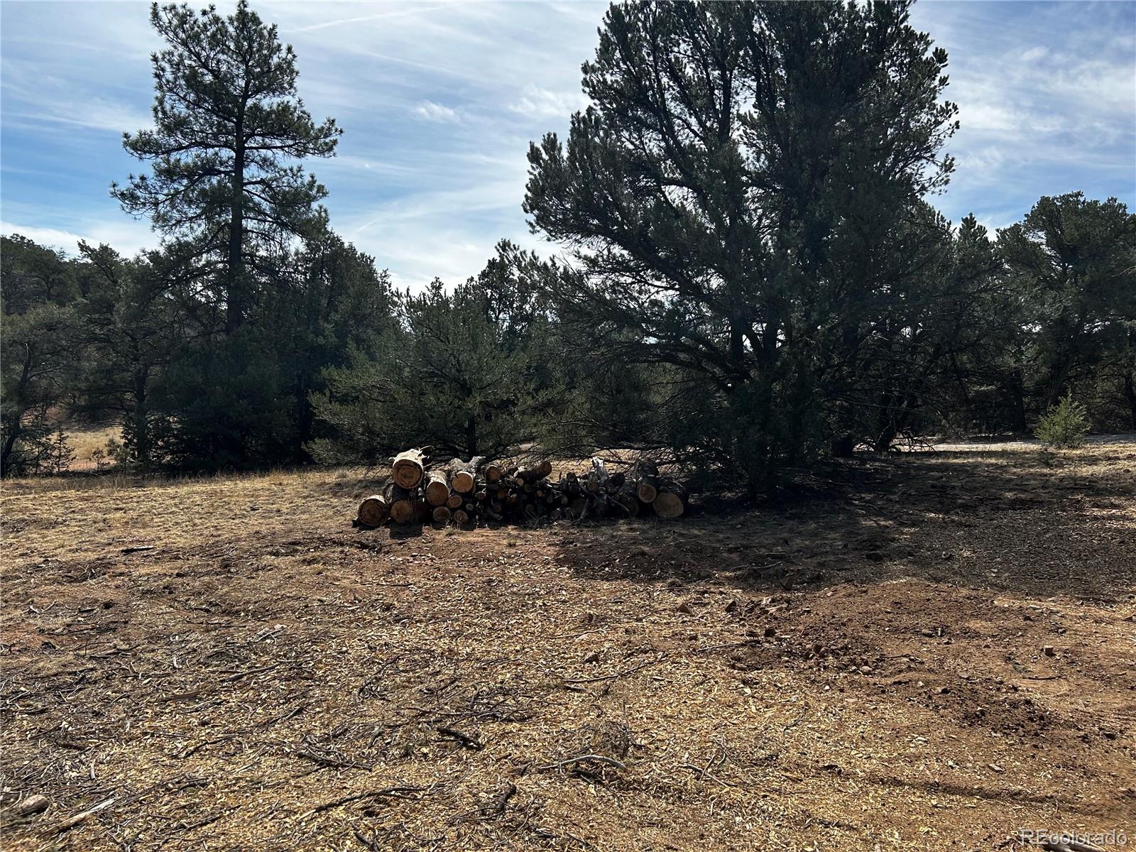2065 Indian Wells Road Cotopaxi CO 81223