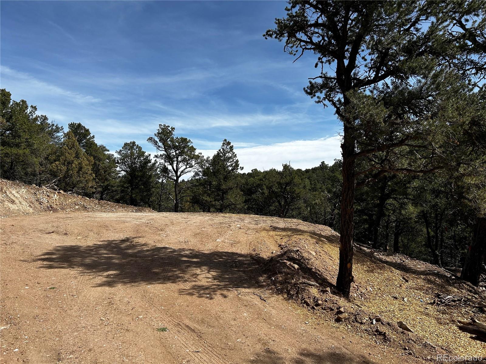 2065 Indian Wells Road Cotopaxi CO 81223