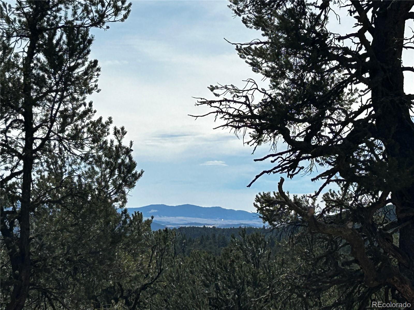 2065 Indian Wells Road Cotopaxi CO 81223