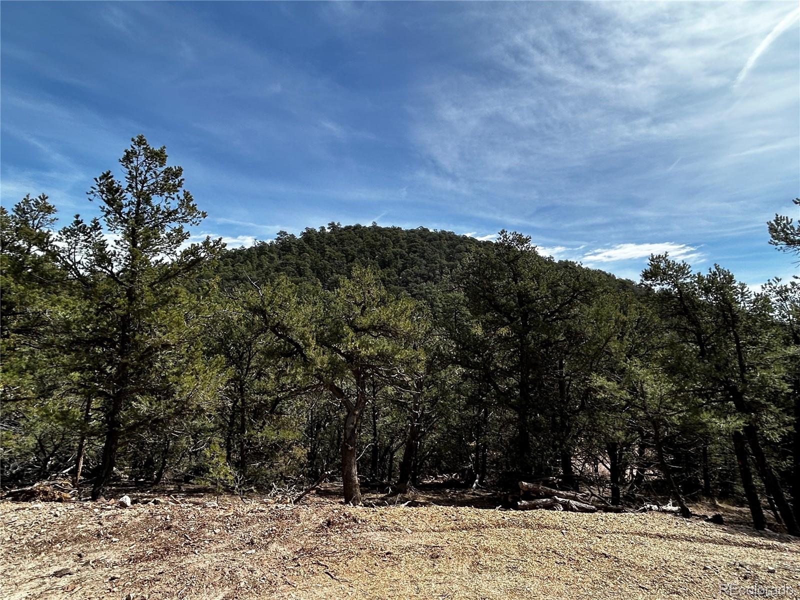 2065 Indian Wells Road Cotopaxi CO 81223