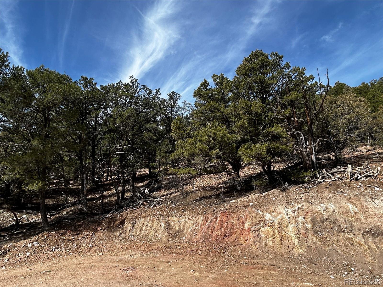 2065 Indian Wells Road Cotopaxi CO 81223