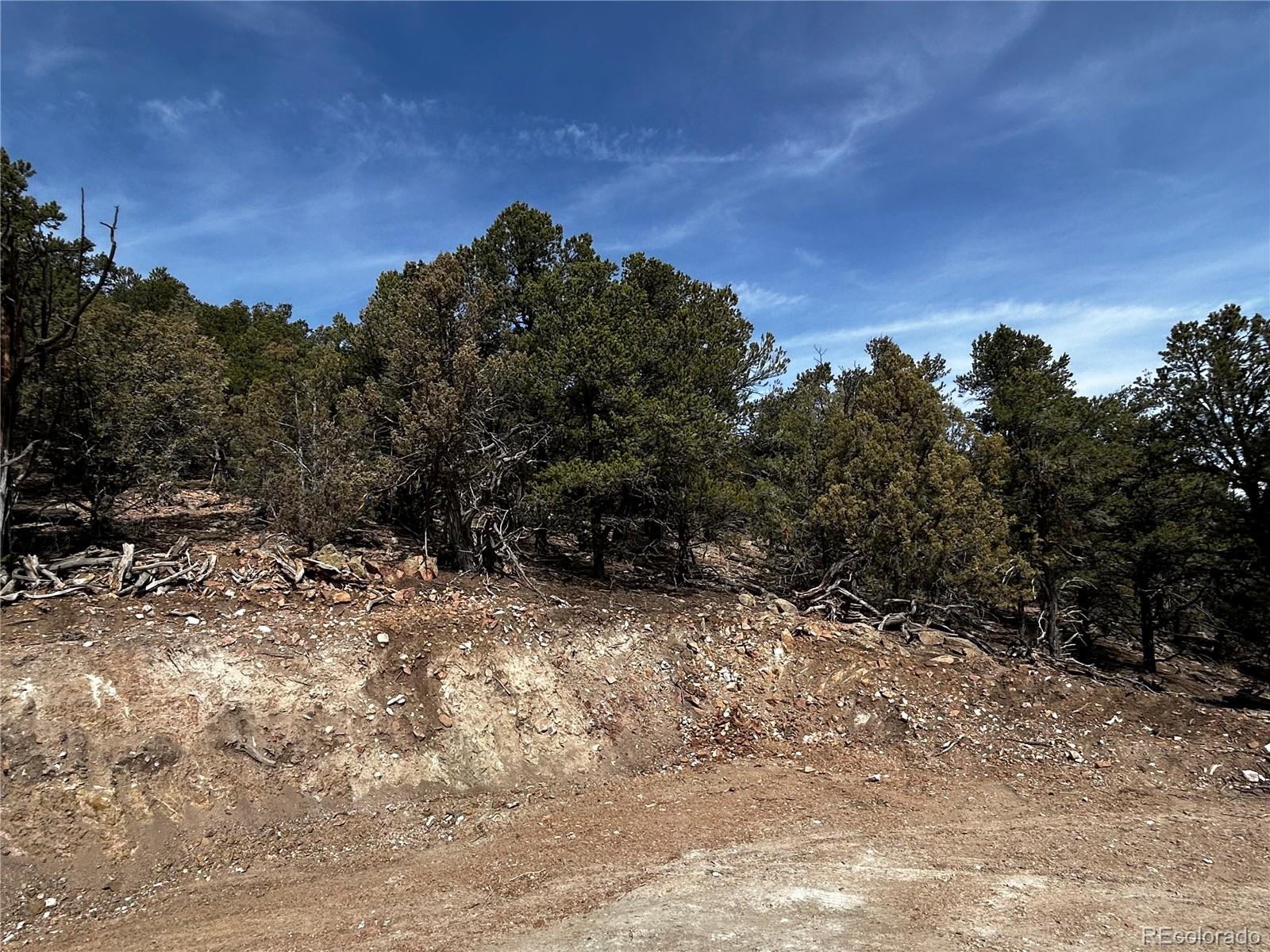 2065 Indian Wells Road Cotopaxi CO 81223